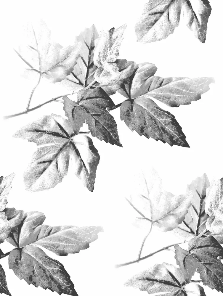 361 "Bed Leafs" 30x40cm
