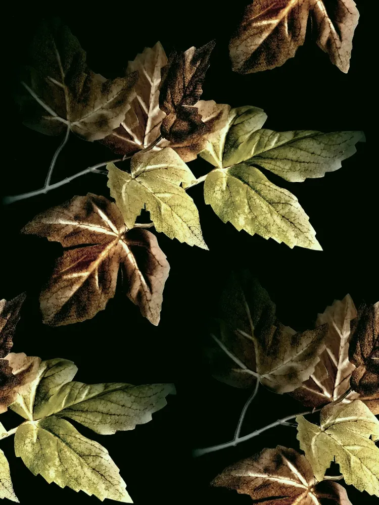 361 "Bed Leafs" 30x40cm