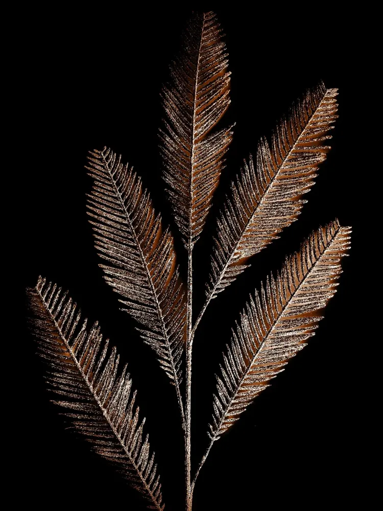 370 " Feathers" 30x40cm