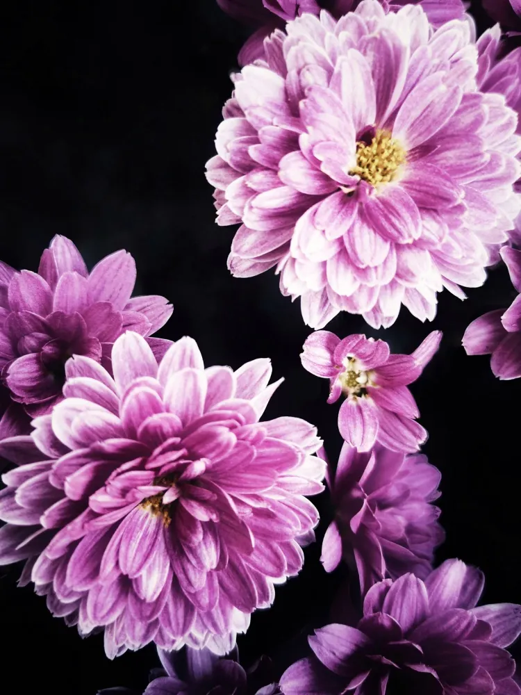 375 "Happy Flowers" 30x40cm