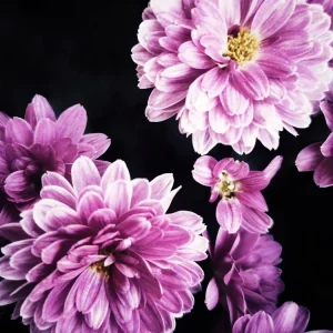 375 "Happy Flowers" 30x40cm