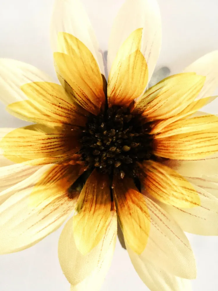 479 "Sunflower" 30x40cm