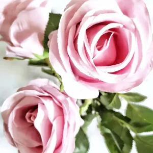 491 "Dreamy Roses" 30x40cm