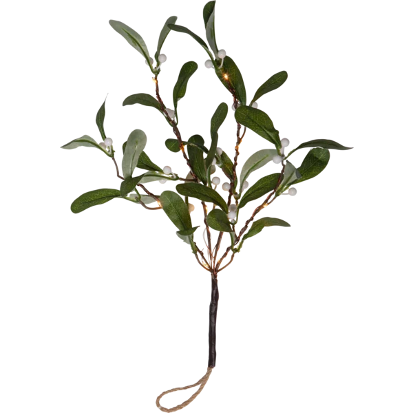 Belysning jul kvist Mistel 35 cm