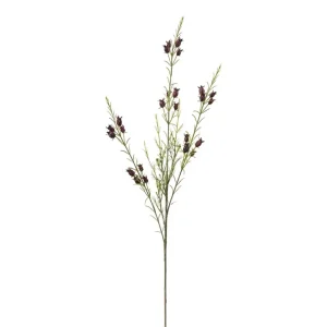 Calluna 63 Cm