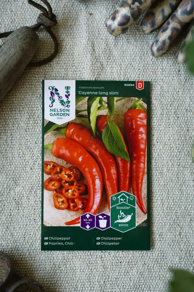 Chilipeppar 'Cayenne Long Slim' Quick-Release