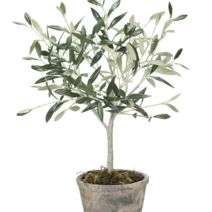 Flora blomma H44XL13XB13 cm. grön