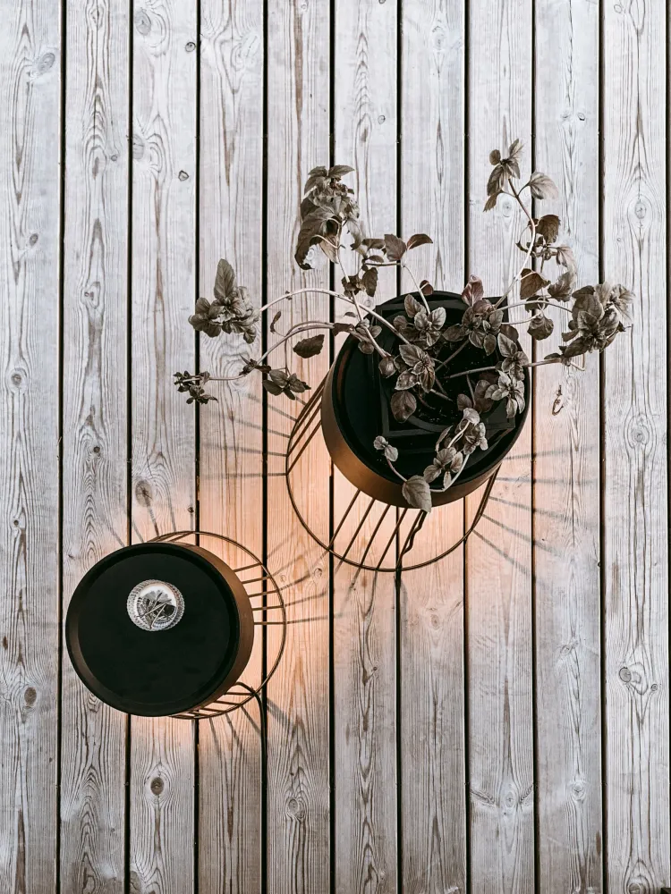 Golvlampa Koster 60 IP44 Träkol