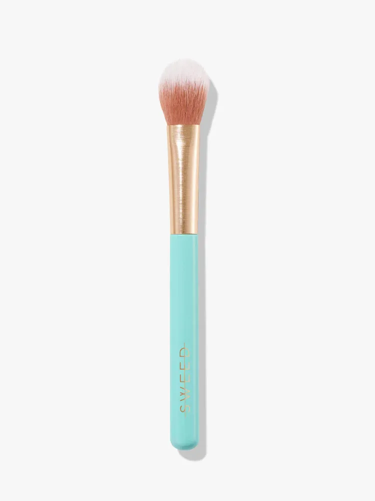 Highlighter Brush Electricians