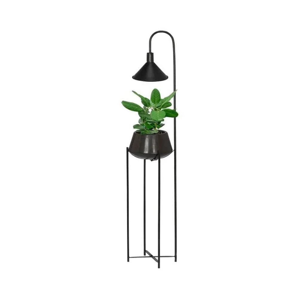 PR Home Blomkruka med Belysning Cornelia