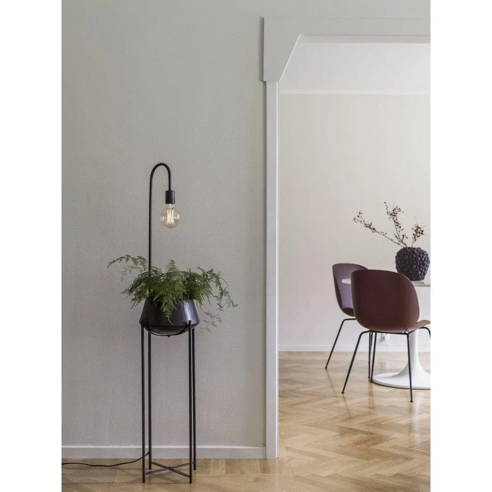 PR Home Blomkruka med Belysning Cornelia