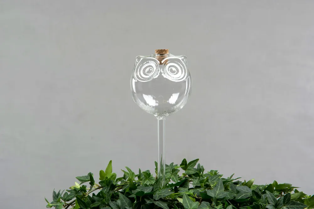 Impact Ready Bevattningsglas Uggla