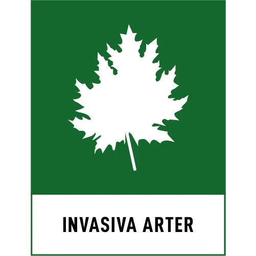 Invasiva arter 180x235