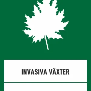 Invasiva växter