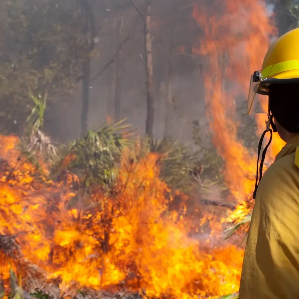 Komplett Brunnsvattenanalys efter skogsbrand