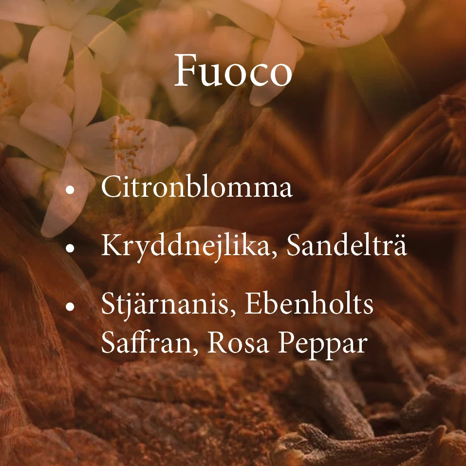 Lamparfum Refill 3-Year Service Plan Rosa
