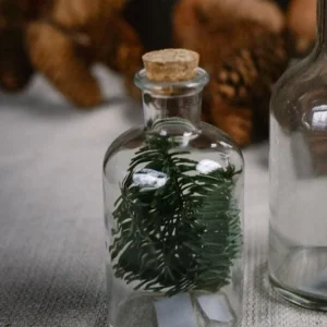 Magnetisk Glasflaska med kork