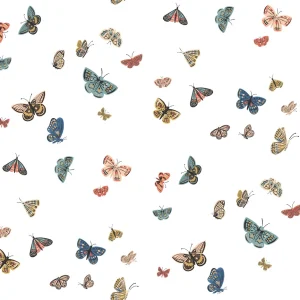 Midbec Butterfly House - RF7411