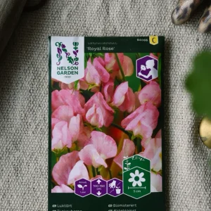 Multi-Function Luktärt 'Royal Rose'