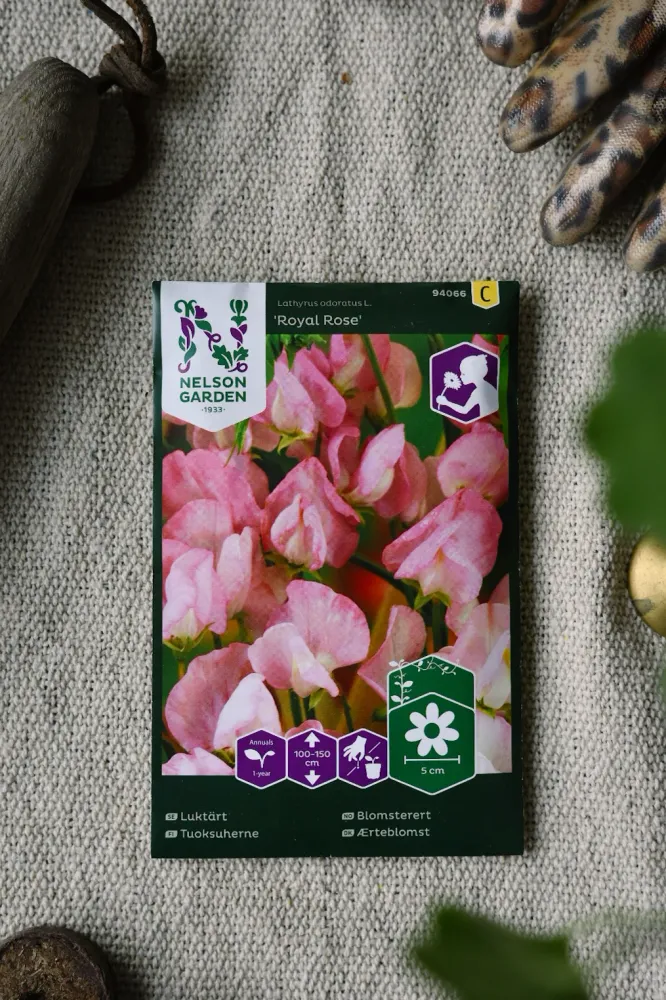 Multi-Function Luktärt 'Royal Rose'