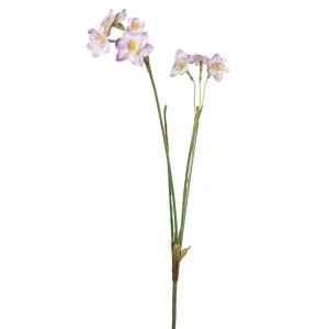 Narciss 55 cm Fuchsia