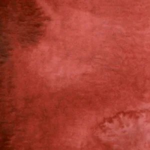 No.71 Indian ruby