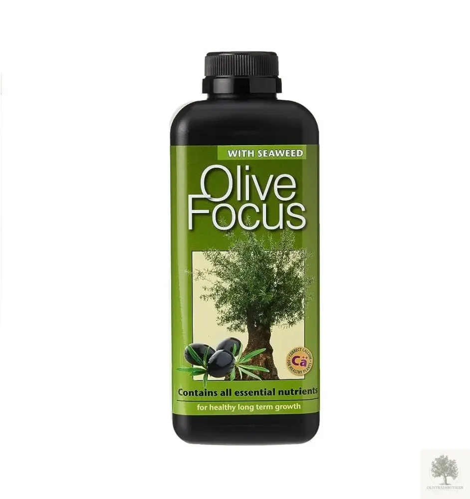 Olivträdsnäring - Olive focus | Lifetime Warranty 300
