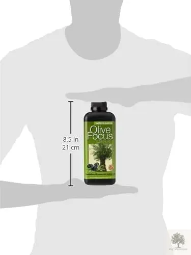 Olivträdsnäring - Olive focus | Lifetime Warranty 300