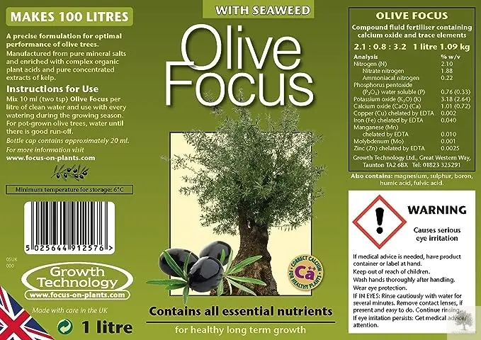 Olivträdsnäring - Olive focus | Lifetime Warranty 300