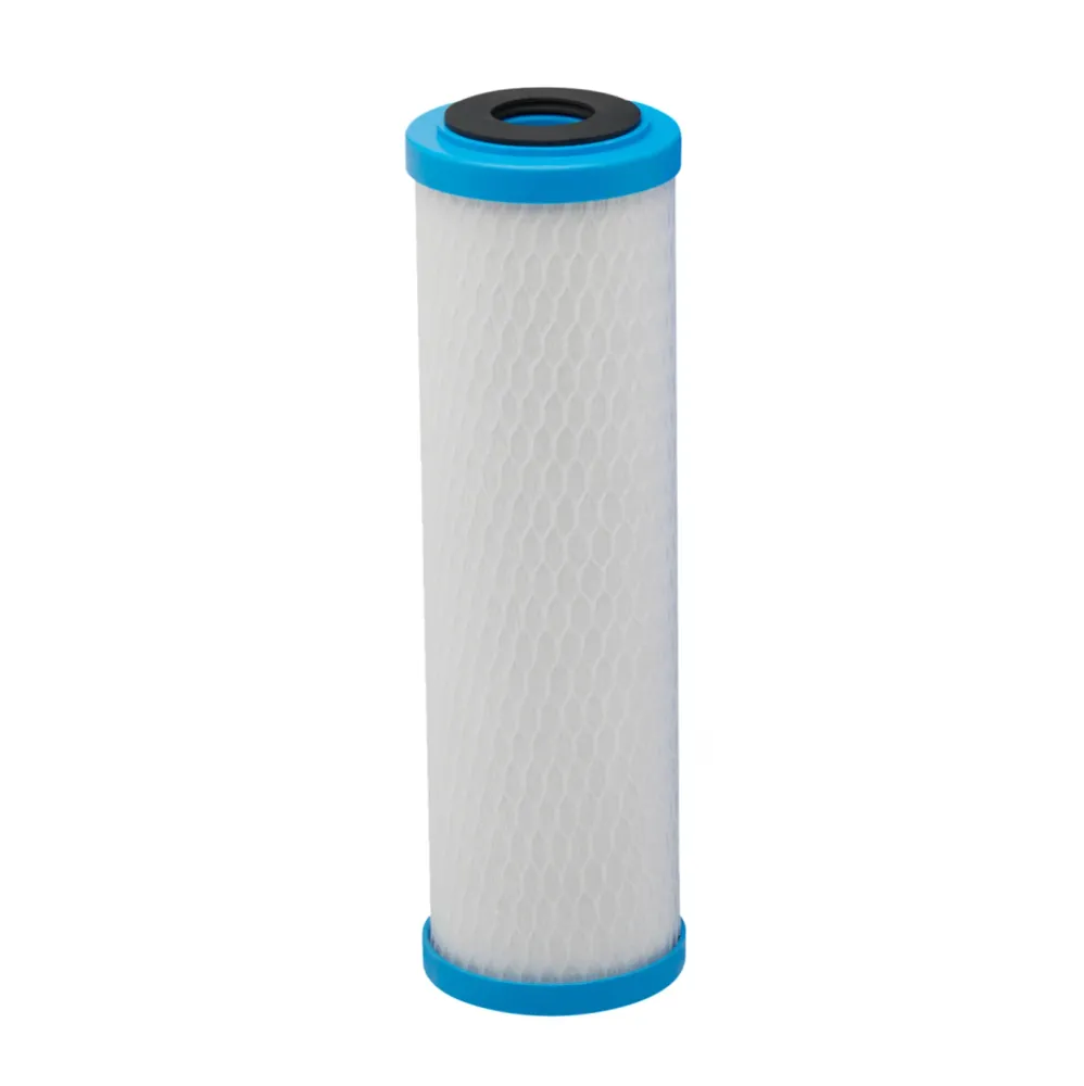 Pentair ChlorPlus Protect patron 10" Made USA