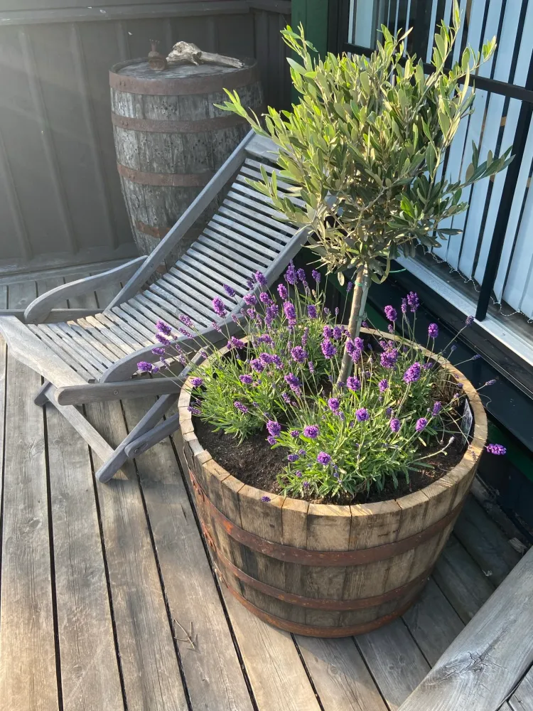 Planter 95L
