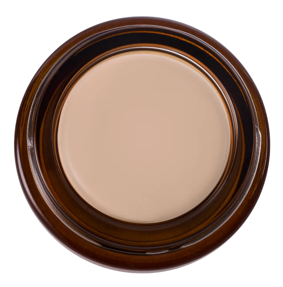 Precision Esse Concealer 20