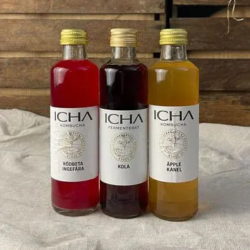 Hög Precision Kombucha 25cl EKO