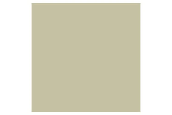 Precision Promark Khaki Y616