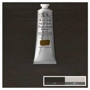 Prof Akryl 60Ml Raw Umber 554