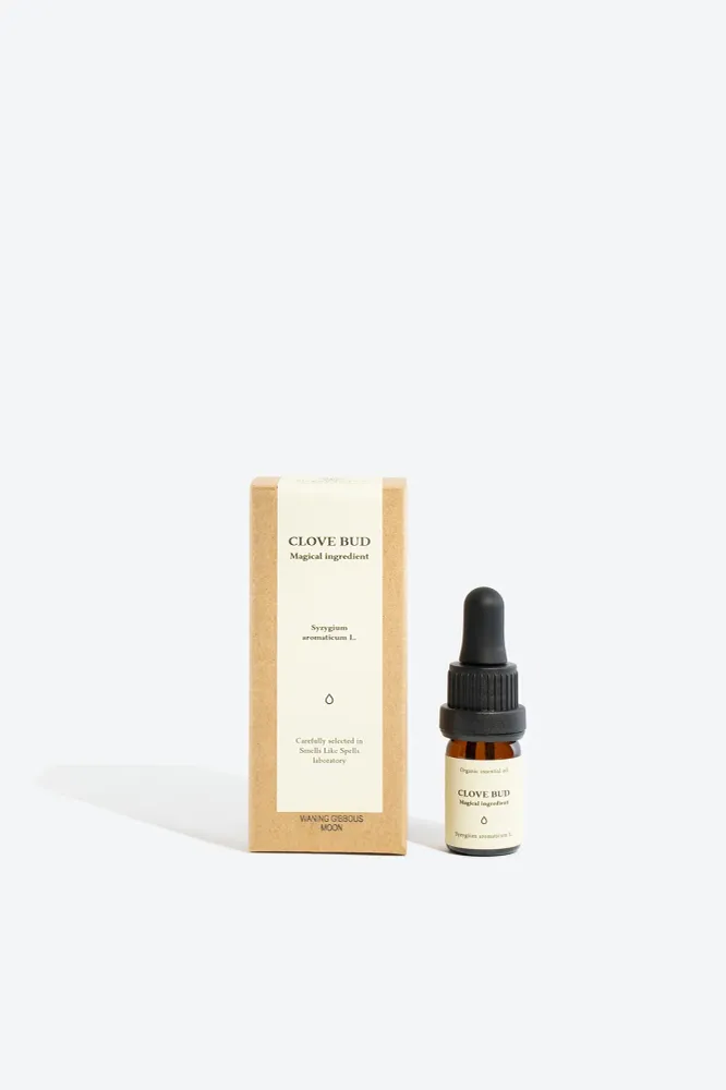 Professionell Kvalitet CLOVE BUD Key Oil