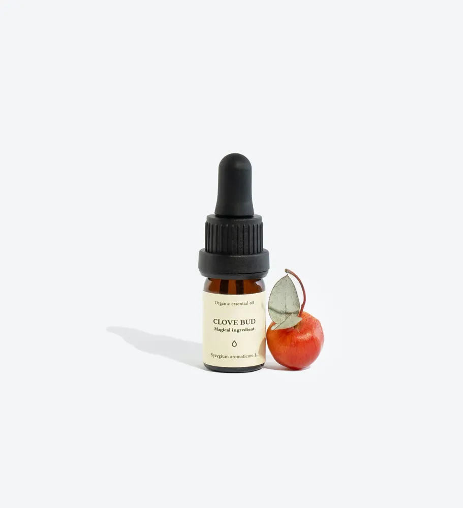 Professionell Kvalitet CLOVE BUD Key Oil