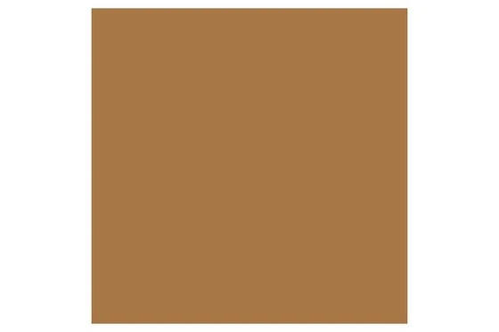 Promark Cocoa O535