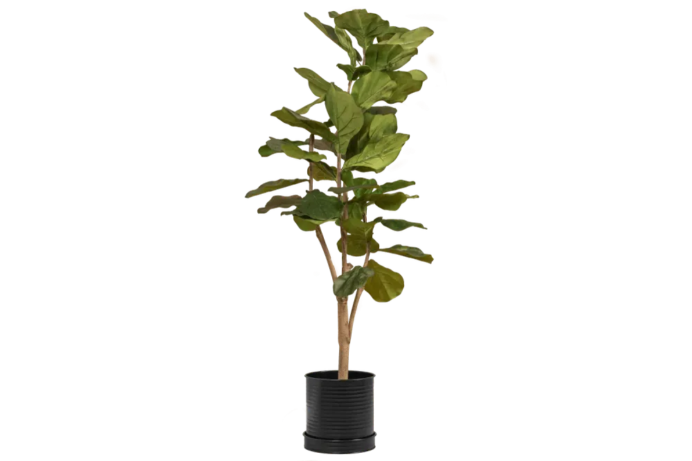 Rita Rillo Kruka Ø22 cm Black