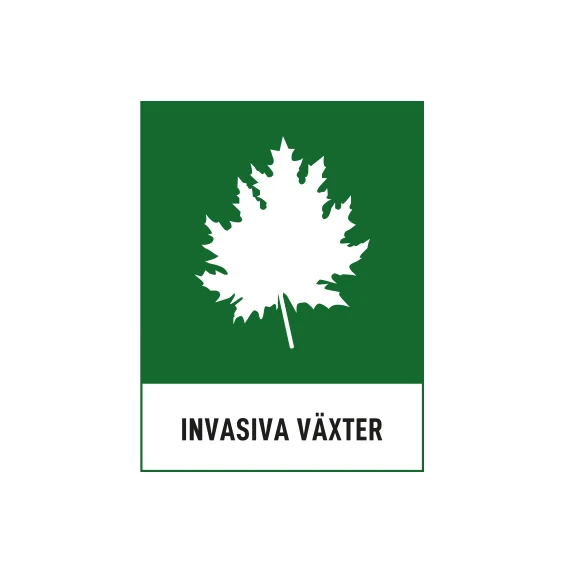 Safety Rated Invasiva växter dekal 60x80mm