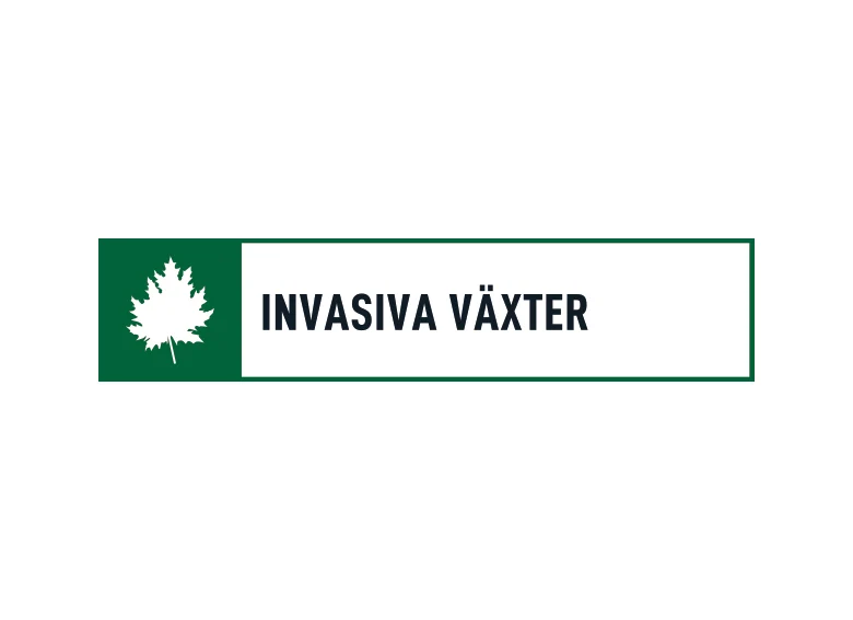 Safety Rated Invasiva växter dekal 60x80mm