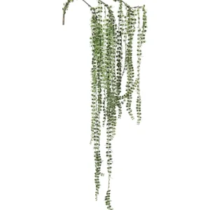 Senecio 110cm Quick-Release