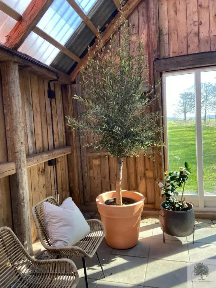 Sizable Kruka Lira Elite - diameter 70 cm Matt