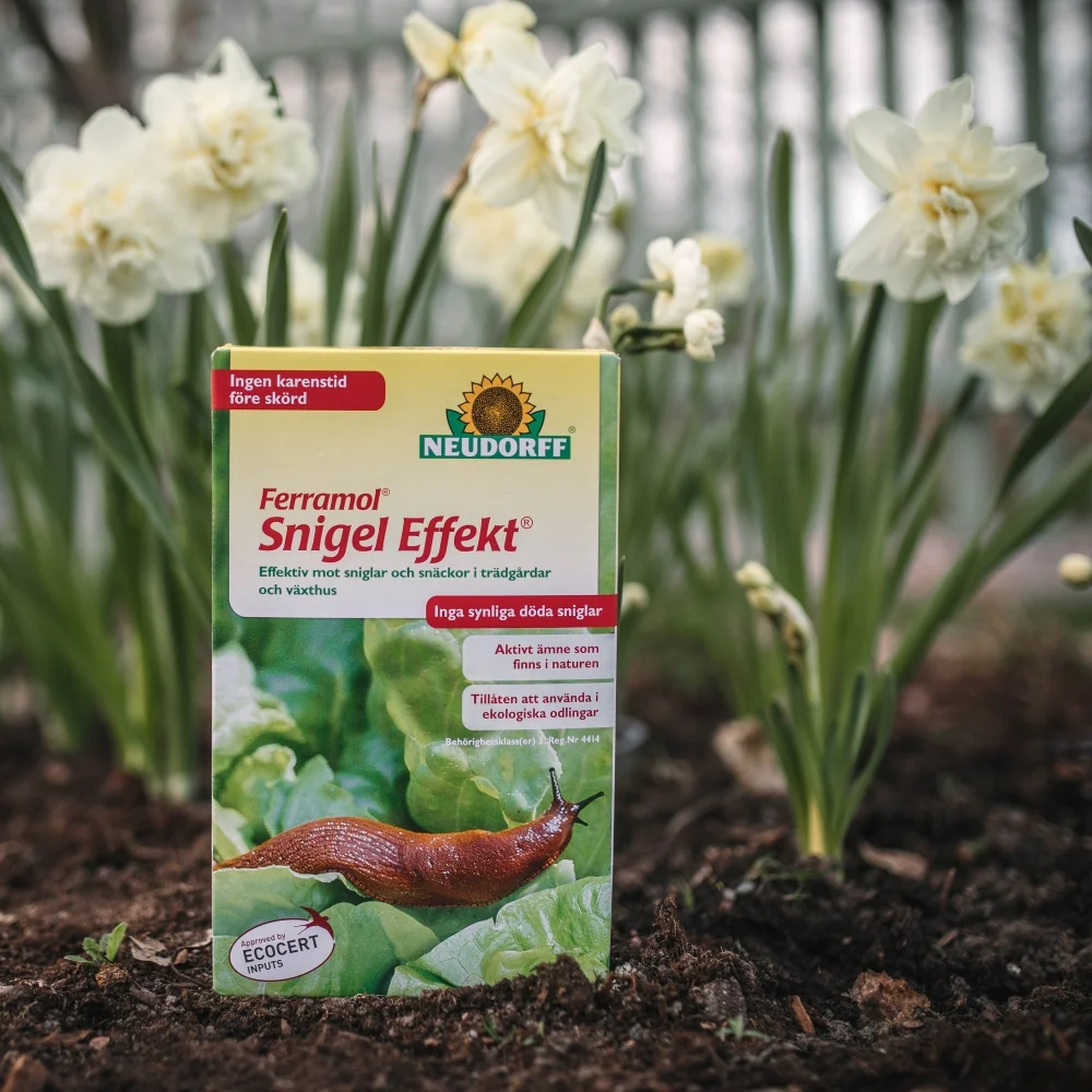 Snigelbekämpning Snigel Effekt Neudorff 800