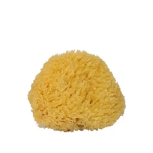 Trådlös Natursvamp 10 cm