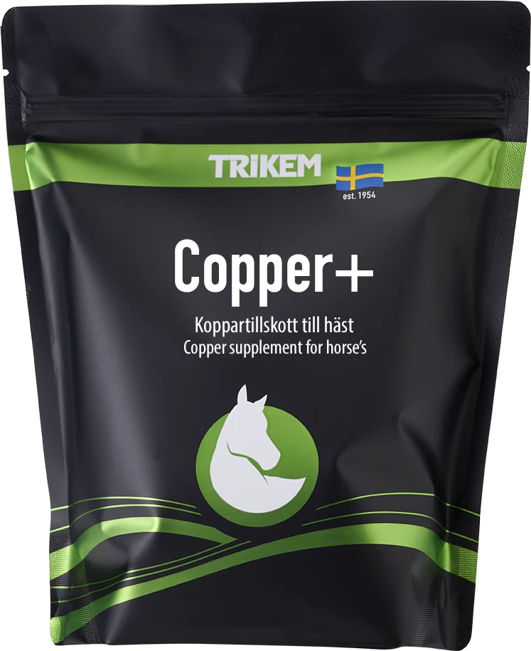Trikem Copper+ 900 g | Variable Speed | Overload Protection