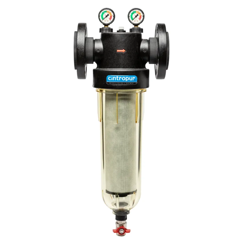Vattenfilter NW650 Partikelfilter Cintropur 2 1/2" (DN65)
