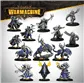 Warmachine: Dusk House Kallyss Auxiliary Expansion Vibration Reduction