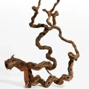 WINEWOOD M 40-70CM