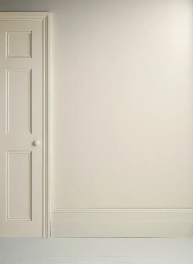 Exterior Grade Unique Wall Paint 2